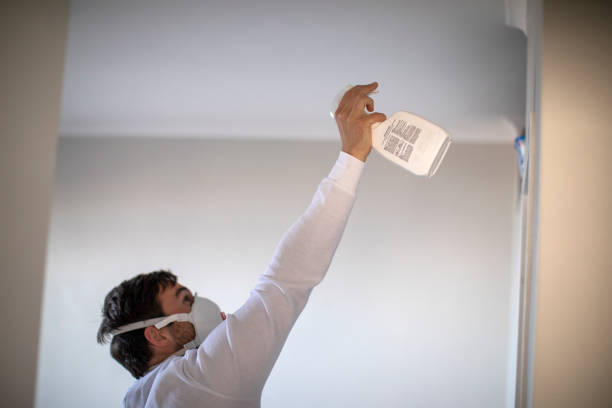 Best Emergency Mold Removal  in Oakland, PA
