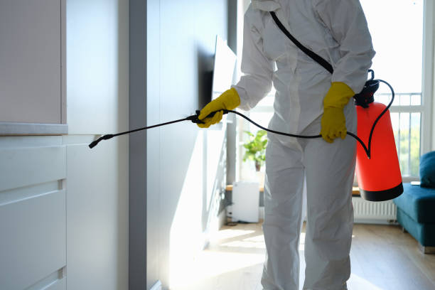 Mold Removal and Inspection in Oakland, PA